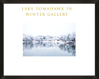 Lake Tomahawk in Winter Gallery