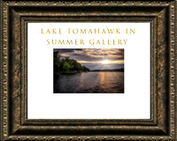 Lake Tomahawk in Summer Gallery