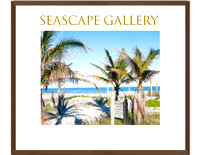 Seascape Cover Photo