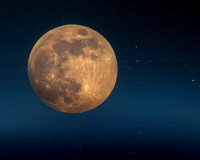 Wolf Moon 1