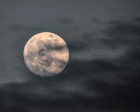 Wolf Moon 3