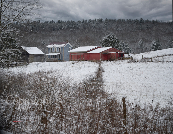 Snowy Day on the Farm