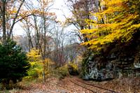 BY THE AUTUMN RAILROAD TRACKS