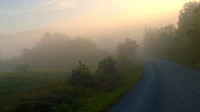 Road in Misty Morn