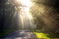 Spray of Sunbeams on Country Road